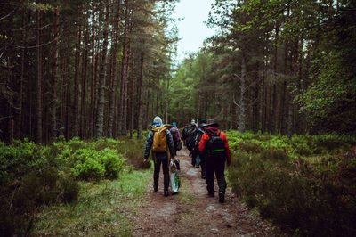 A group of people waking on a forest path