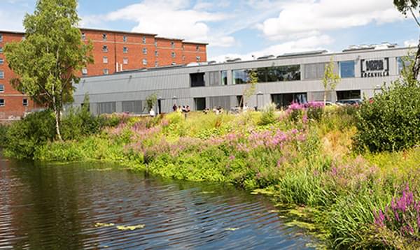 National Theatre of Scotland's headquarters. A grey building on the side of a canal with wild flowers