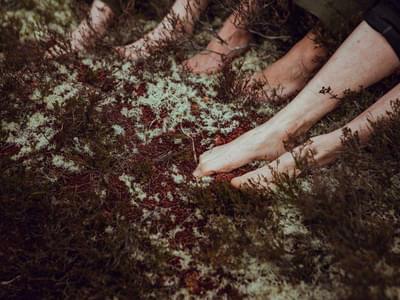 Three pairs of bare feet against the moss covered ground